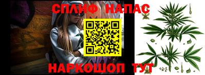 прущие грибы Донецк