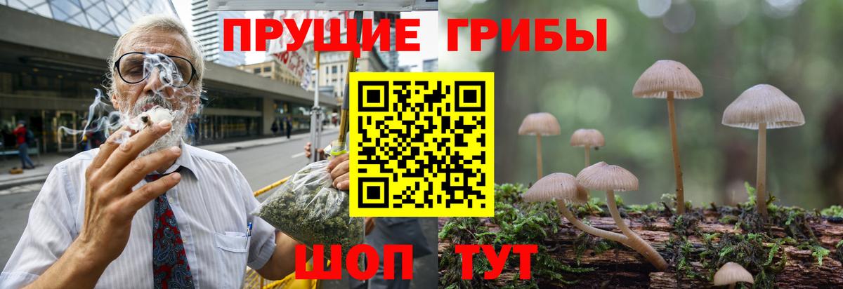 Луга  Псилоцибиновые грибы GOLDEN TEACHER  Вход с VPN  Галлюциногенные грибы MAGIC MUSHROOMS 