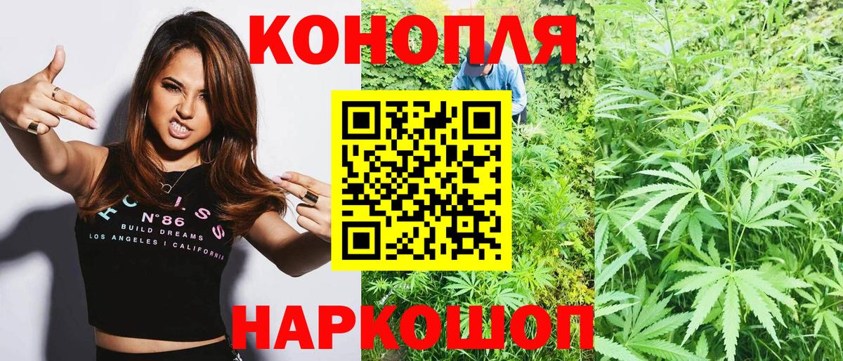 Бошки Шишки сатива Луга